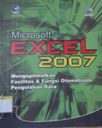 Image of Microsoft Excel 2007